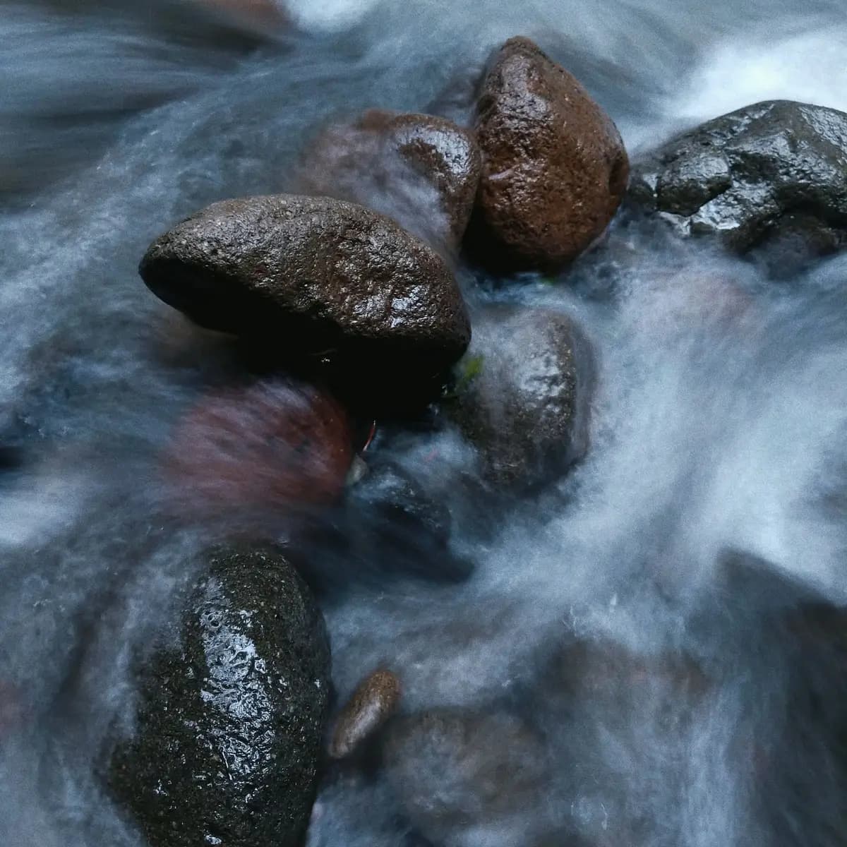 L’eau d’un ruisseau épouse les pierres